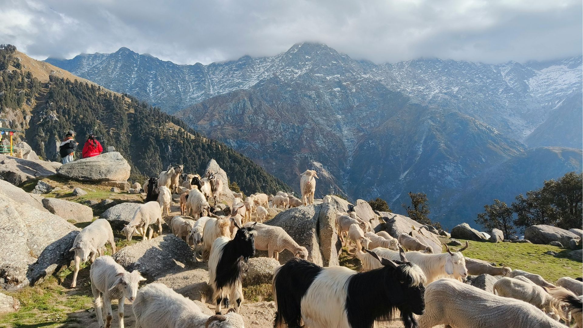 Travelling In India & Exploring Versatility