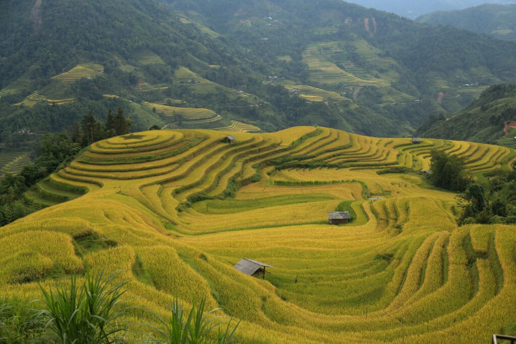 Ha Giang 